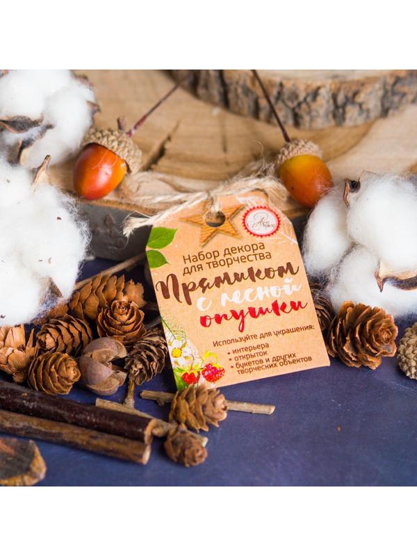 Набор природного декора 