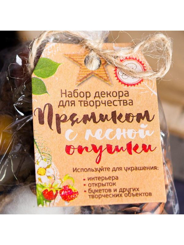 Набор природного декора 