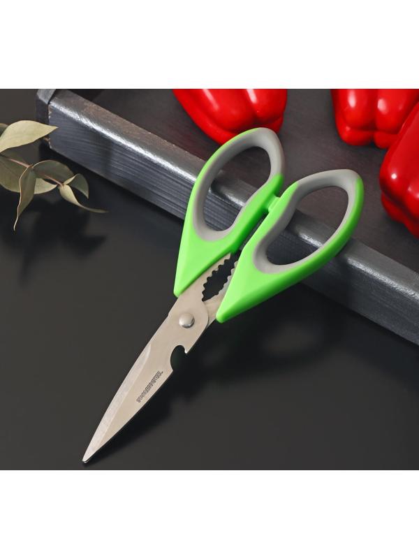 Ножницы кухонные Доляна «Гари», 22 см, цвет зелёный
