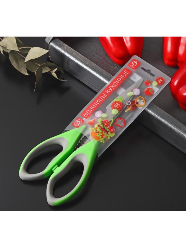 Ножницы кухонные Доляна «Гари», 22 см, цвет зелёный