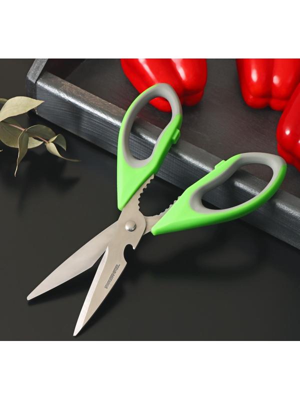 Ножницы кухонные Доляна «Гари», 22 см, цвет зелёный