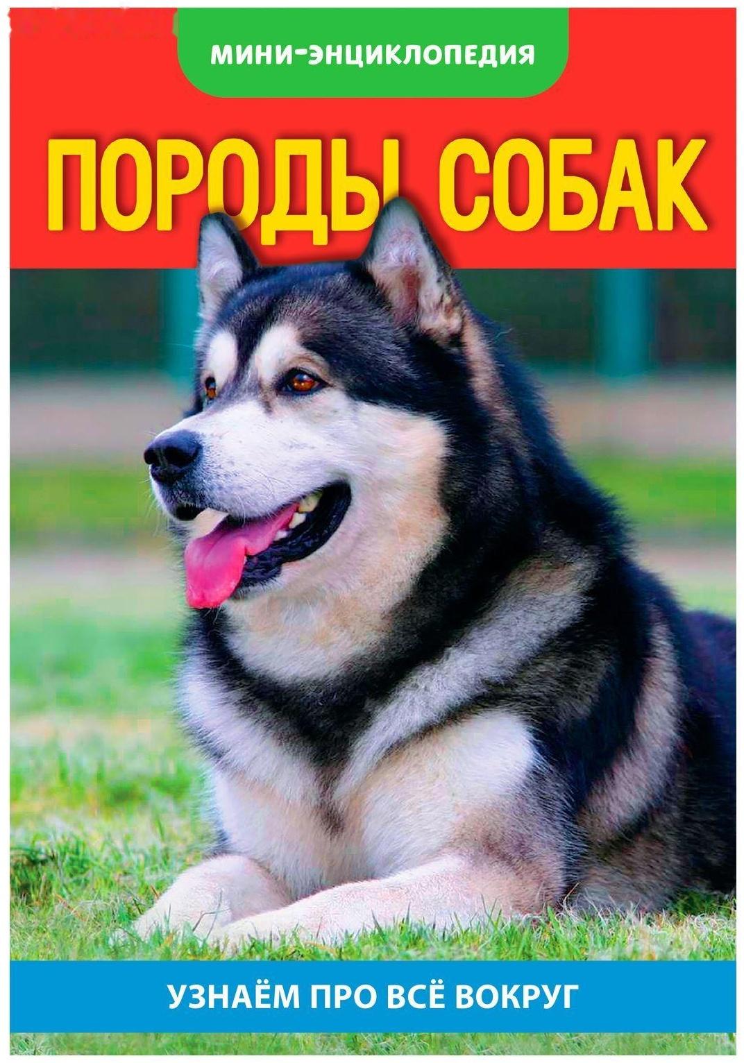 Мини-энциклопедия «Собаки», 20 стр.