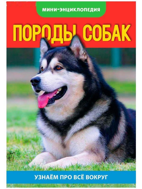 Мини-энциклопедия «Собаки», 20 стр.