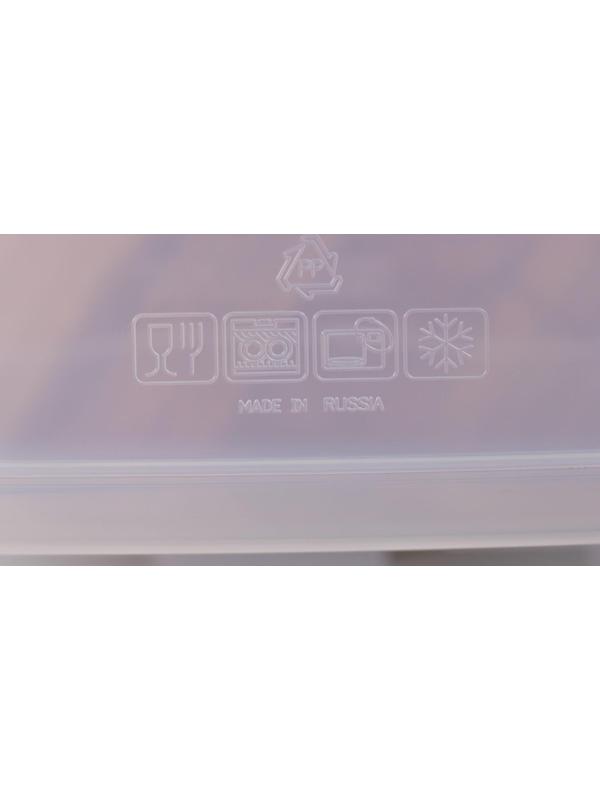 Контейнер пищевой, 470 мл, с герметичной крышкой