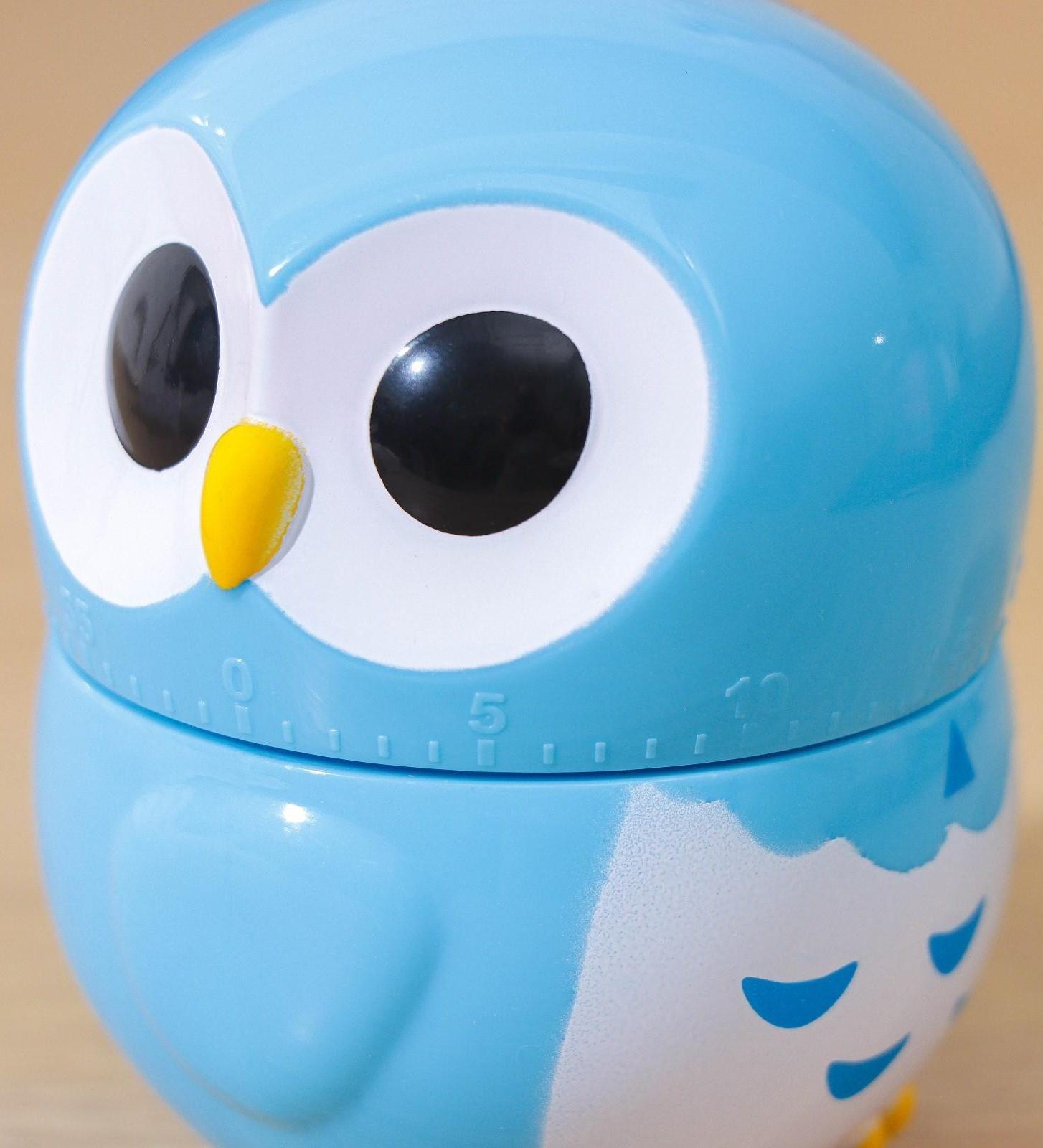 Кухонный таймер «Совёнок», механический, цвет МИКС