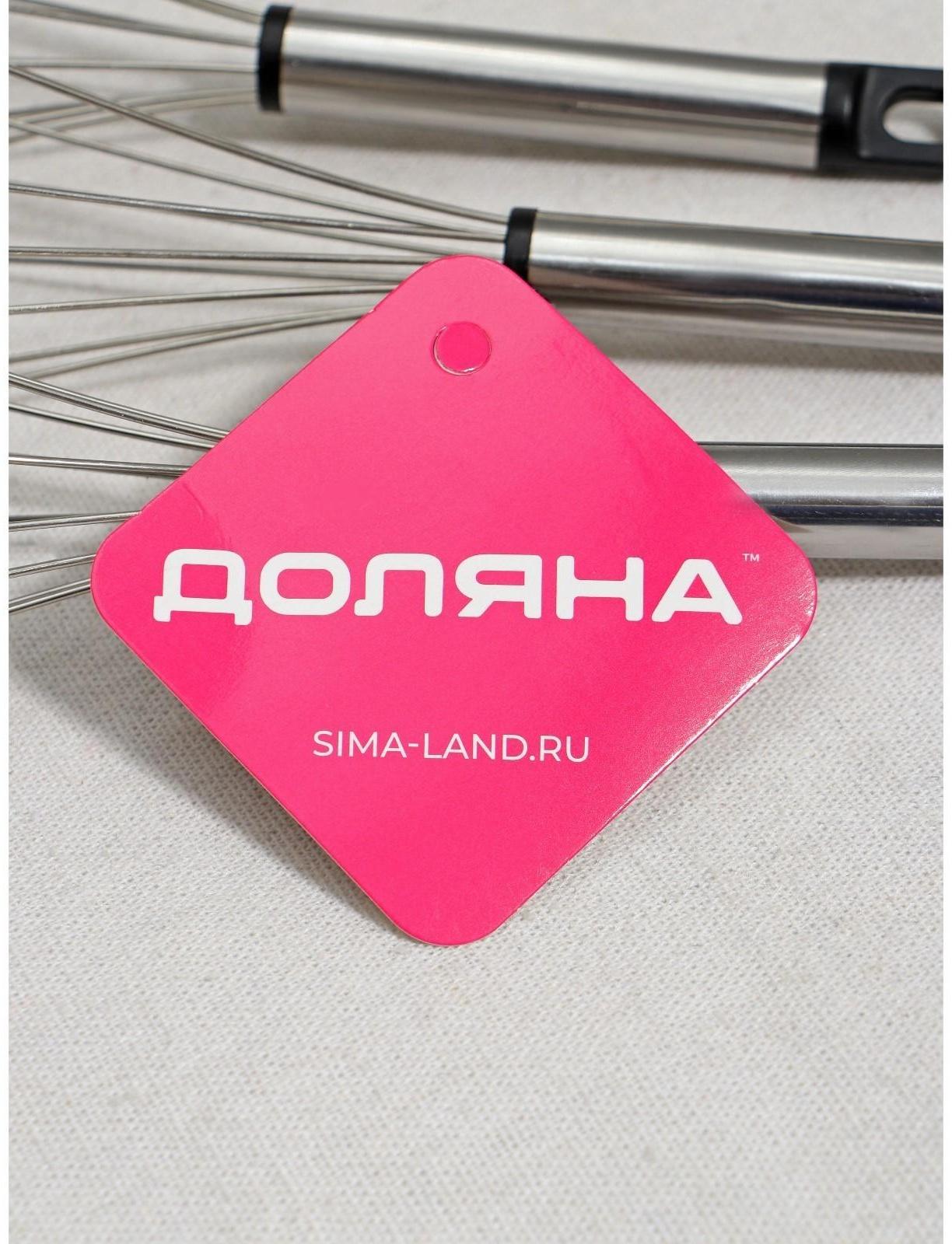 Набор венчиков для взбивания Доляна «Помощник», 3 шт: 19 см, 24 см, 29 см