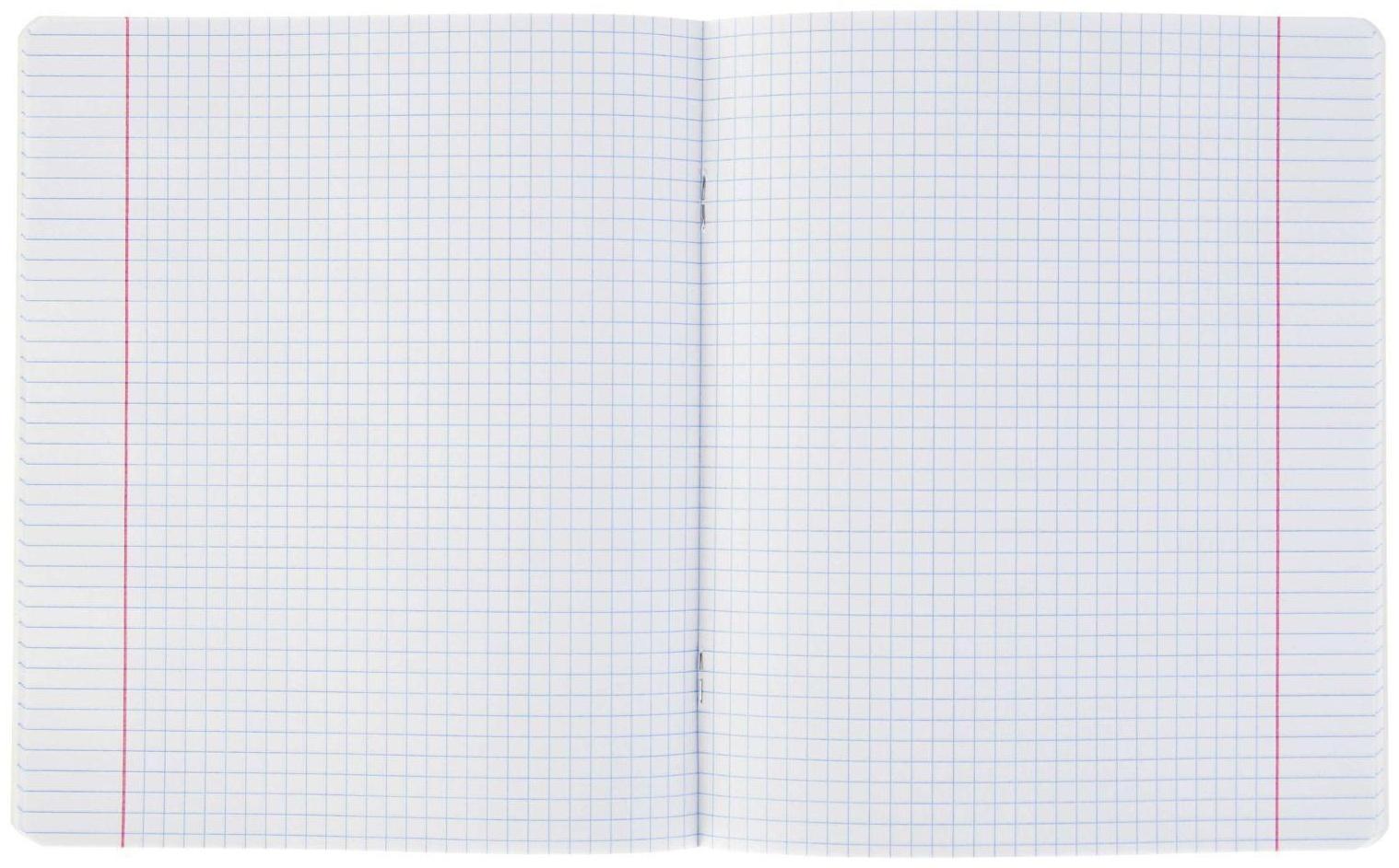 Тетрадь 24 листа в клетку, ErichKrause Visio 