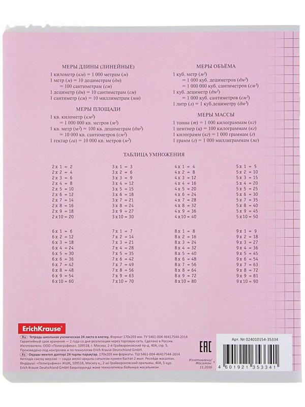 Тетрадь 24 листа в клетку, ErichKrause Visio 