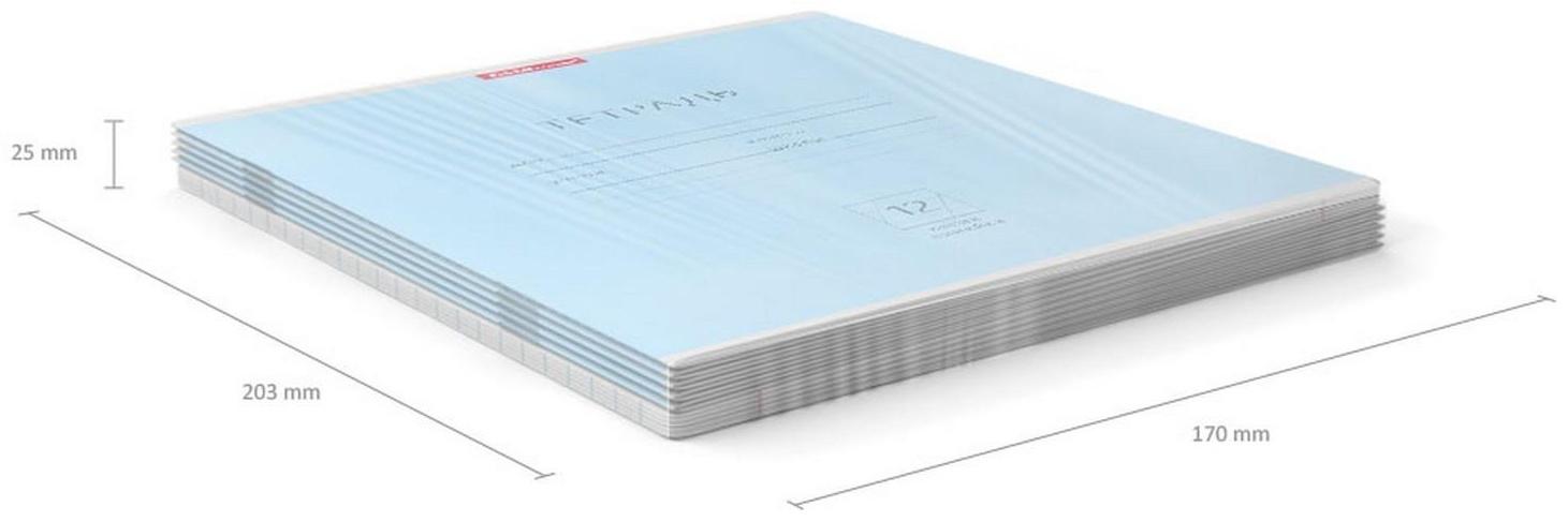 Тетрадь 12 листов в косую линейку ErichKrause 