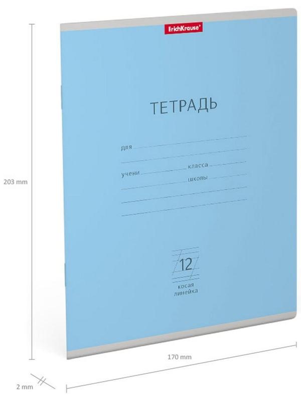 Тетрадь 12 листов в косую линейку ErichKrause 