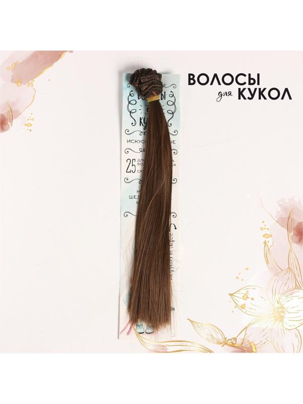 Волосы - тресс для кукол «Прямые» длина волос: 25 см, ширина:100 см, цвет № 6