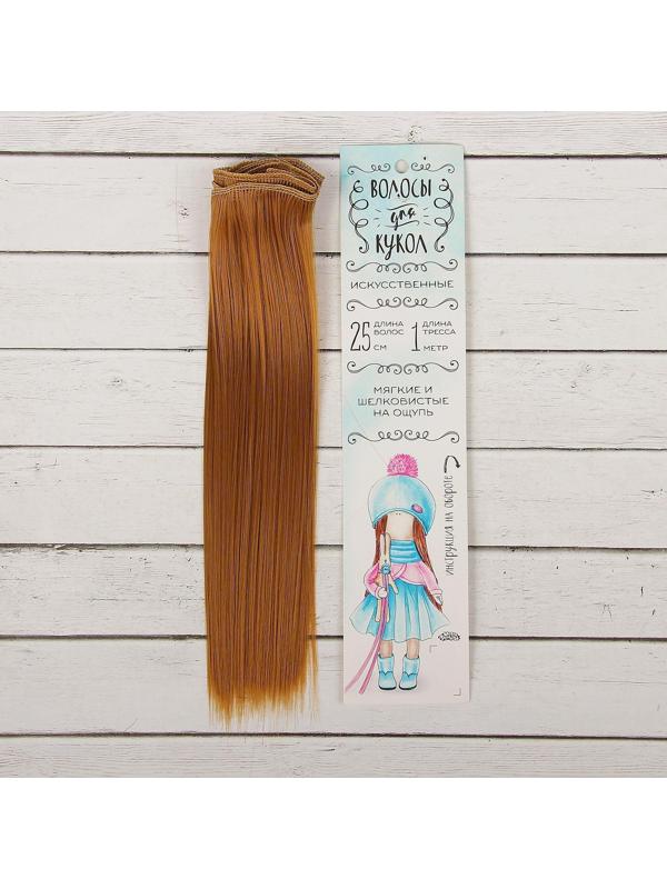 Волосы - тресс для кукол «Прямые» длина волос: 25 см, ширина:100 см, цвет № 27В