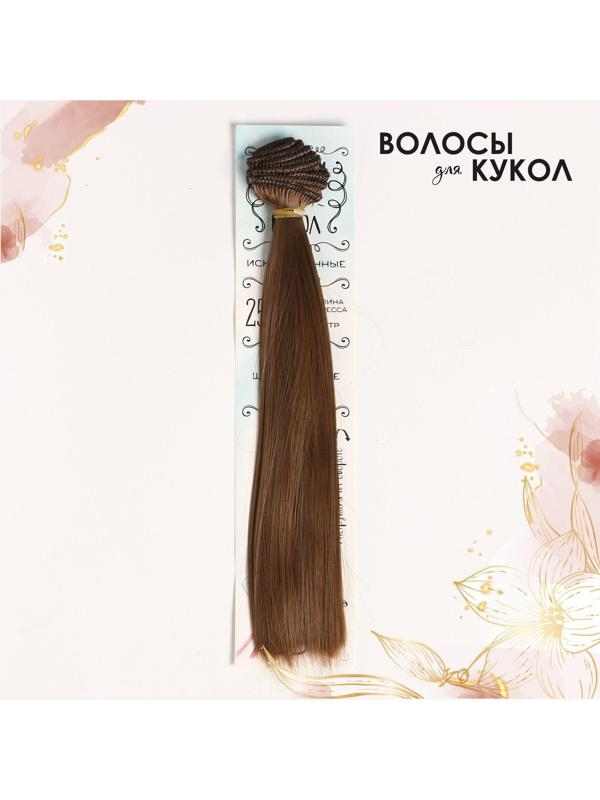 Волосы - тресс для кукол «Прямые» длина волос: 25 см, ширина:100 см, цвет № 12