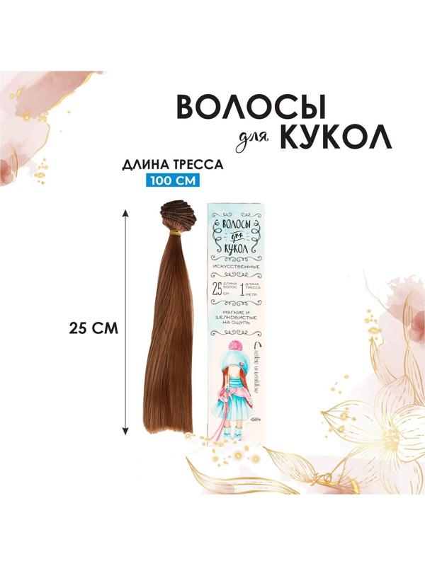 Волосы - тресс для кукол «Прямые» длина волос: 25 см, ширина:100 см, цвет № 12