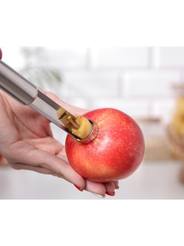 Нож для сердцевины Доляна «Металлик», 21 см, цвет хромированный