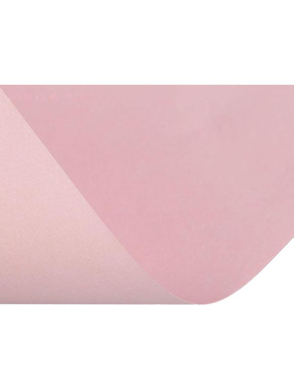 Бумага цветная А4, 50 листов Calligrata Пастель, 5 цветов, 80 г/м²