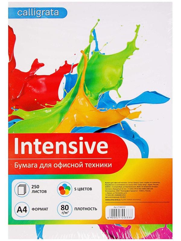 Бумага цветная А4, 250 листов Calligrata Интенсив, 5 цветов, 80 г/м²