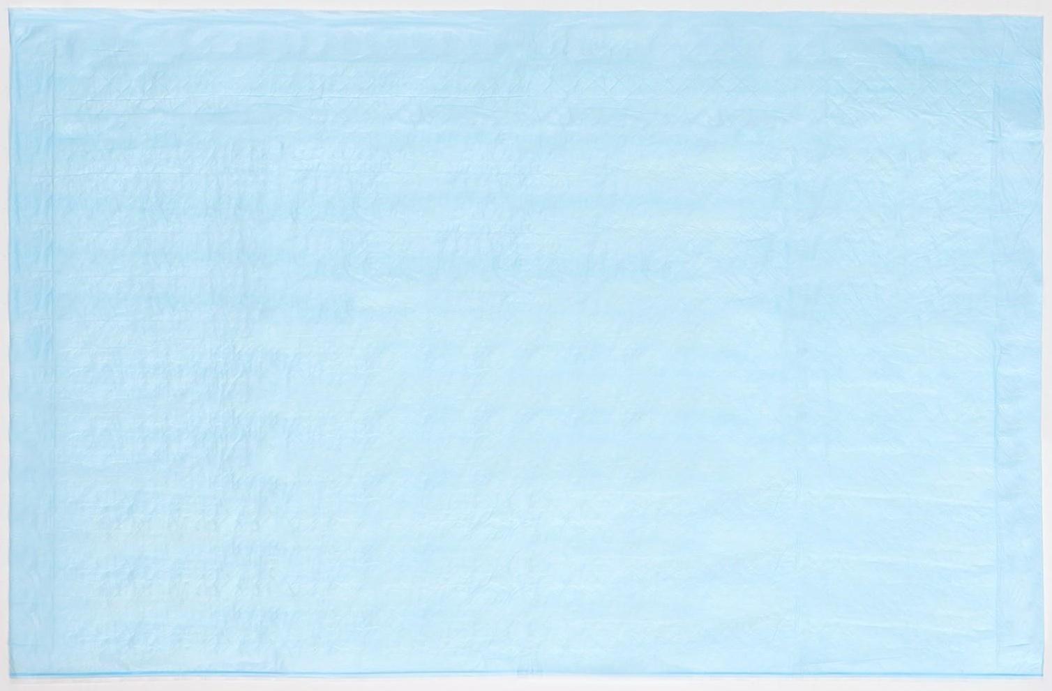 Пеленки впитывающие одноразовые My Nanny, эконом, 60 х 60, 30 шт.