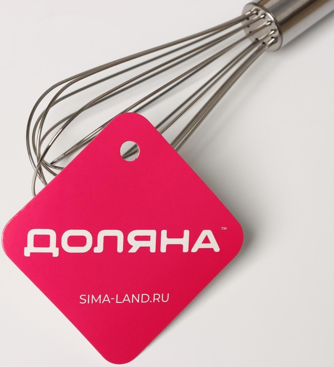 Венчик для взбивания Доляна «Стандарт», 20 см, цвет серебристый