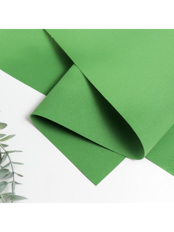 Фоамиран иранский 0,8-1 мм (тёмно-зелёный/179) 60х70 см