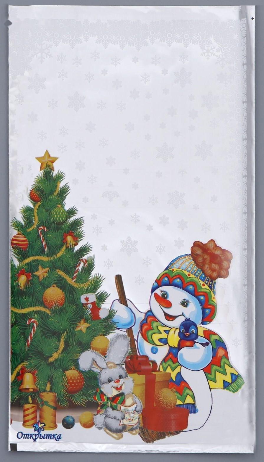 Пакет подарочный 