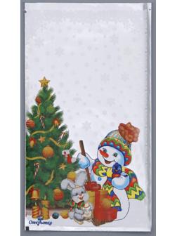 Пакет подарочный 