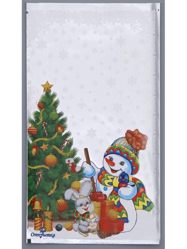 Пакет подарочный 