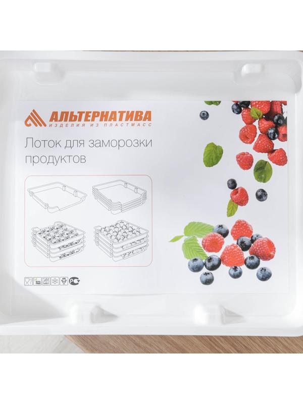 Набор лотков для заморозки продуктов, 4 шт