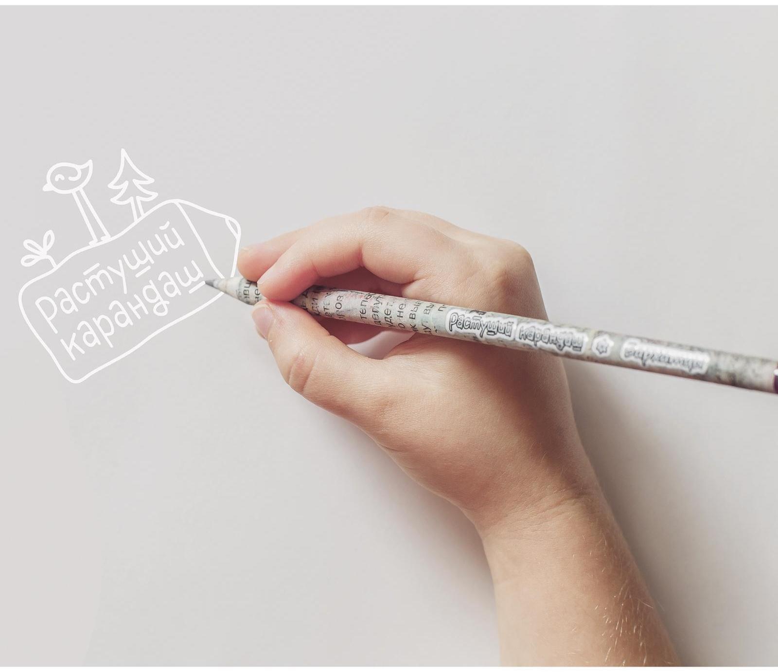 Растущие карандаши 