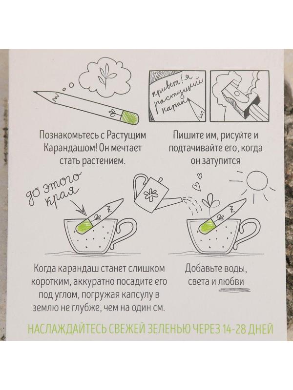 Растущие карандаши 