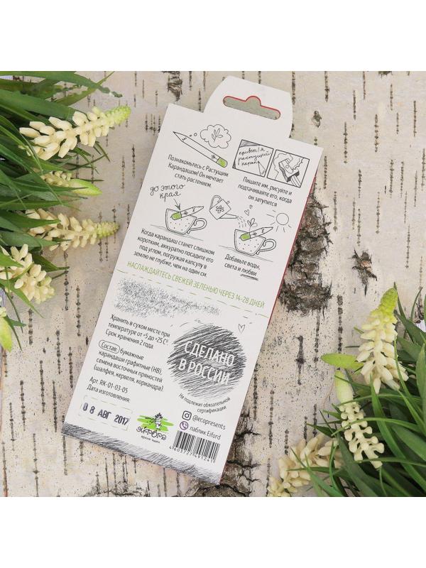 Растущие карандаши 