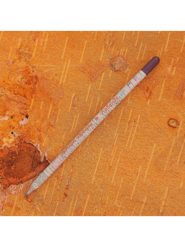 Растущие карандаши 