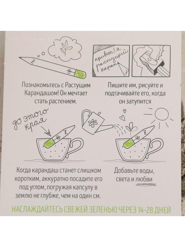 Растущие карандаши 