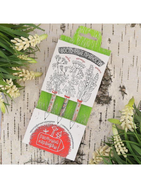 Растущие карандаши 