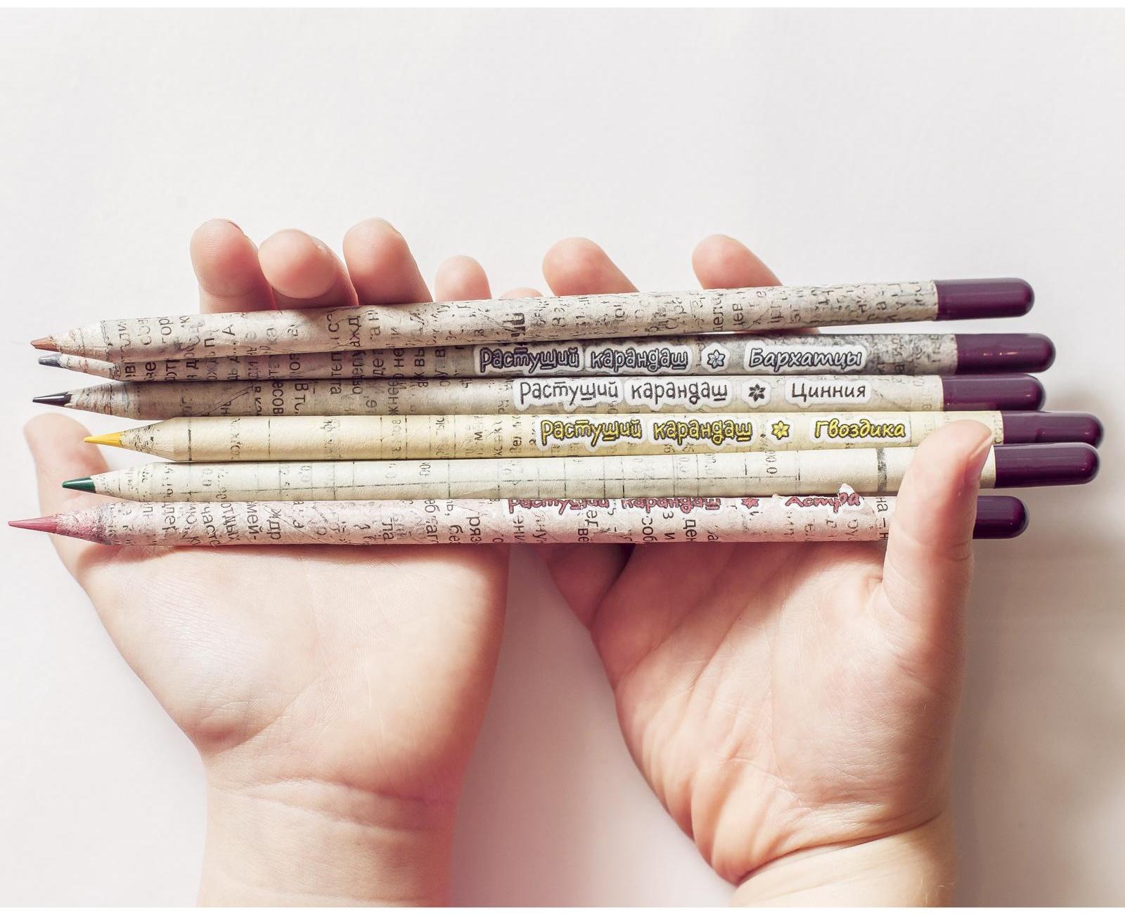 Растущие карандаши 