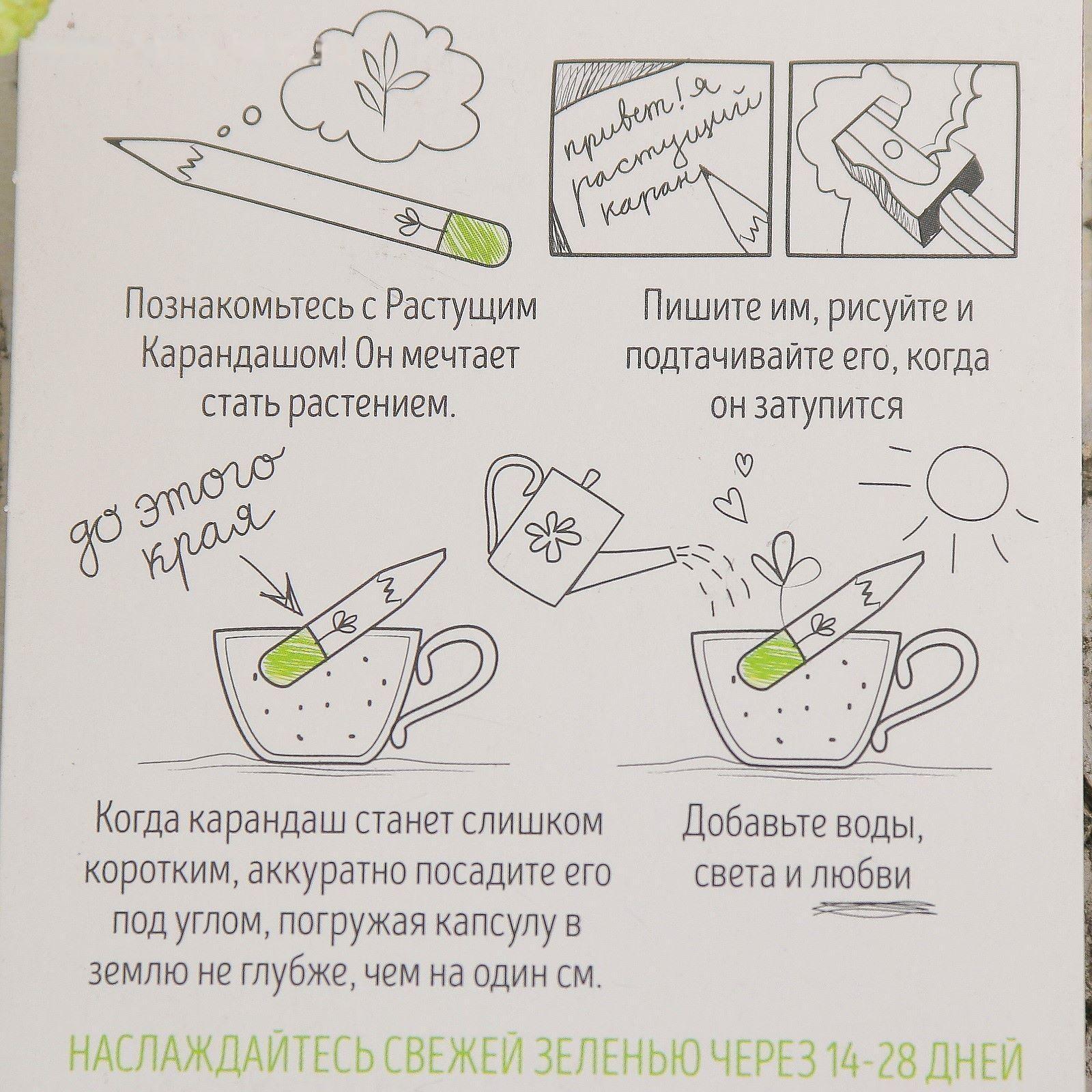 Растущие карандаши 