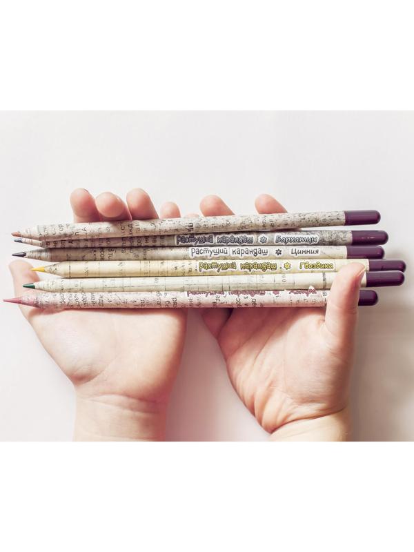 Растущие карандаши 