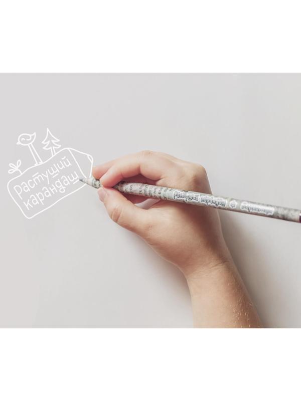 Растущие карандаши 