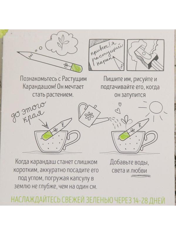 Растущие карандаши 