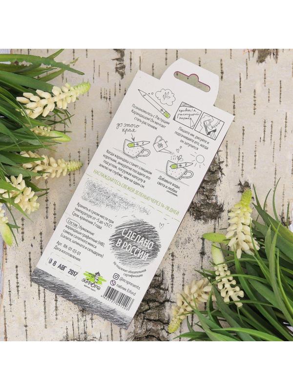 Растущие карандаши 