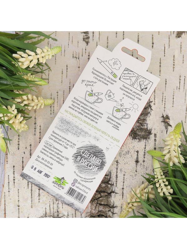 Растущие карандаши 