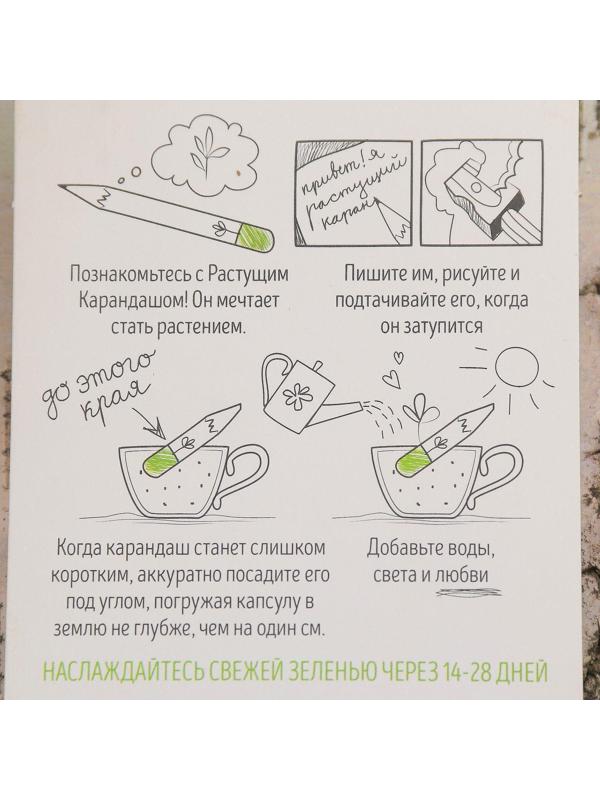 Растущие карандаши 