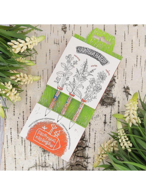 Растущие карандаши 