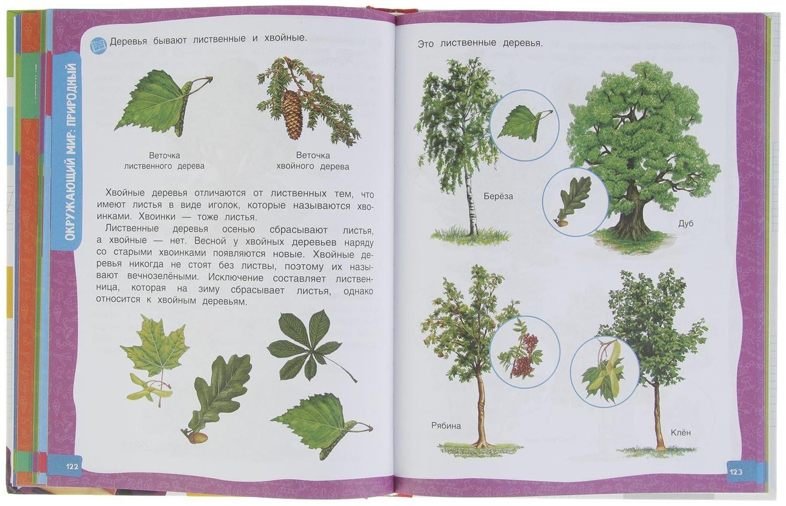 Большая энциклопедия подготовки к школе