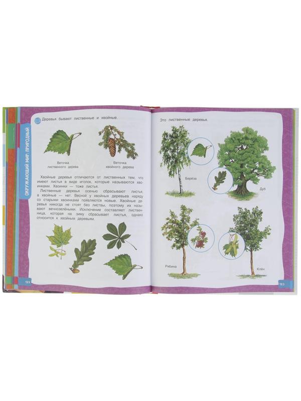 Большая энциклопедия подготовки к школе