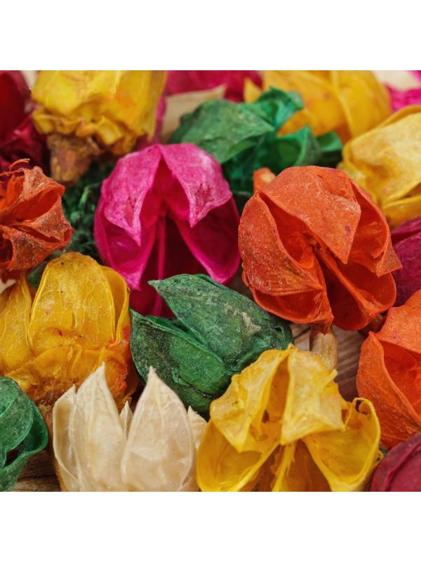 Сухие цветы кунжута, 15 г, цвета МИКС