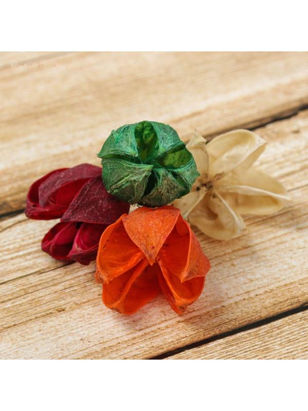 Сухие цветы кунжута, 15 г, цвета МИКС