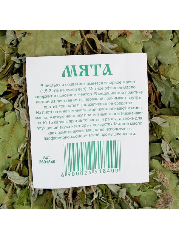 Веник для бани дубовый, 55 см с мятой