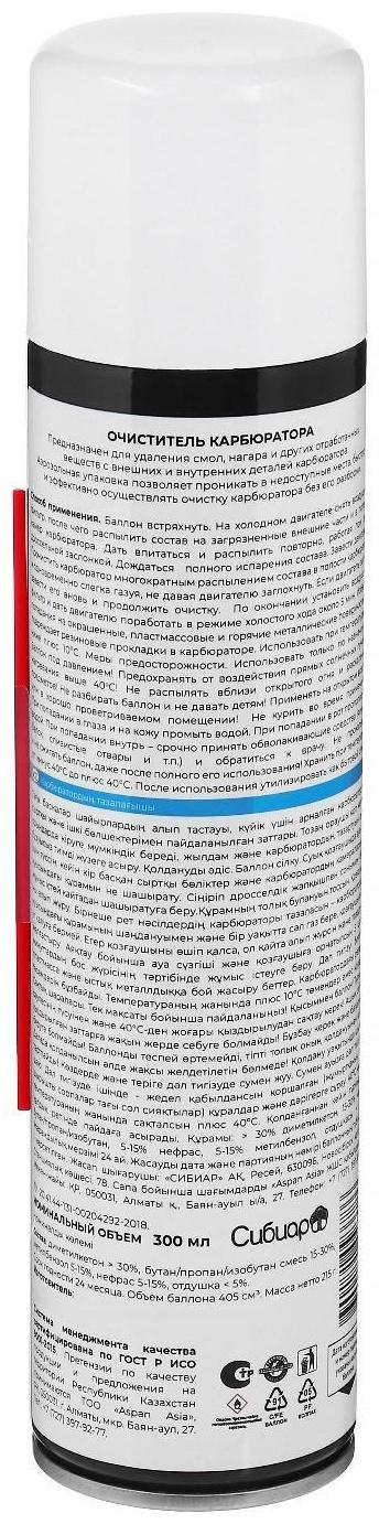 Очиститель карбюратора Авто мастер, 300 мл, аэрозоль