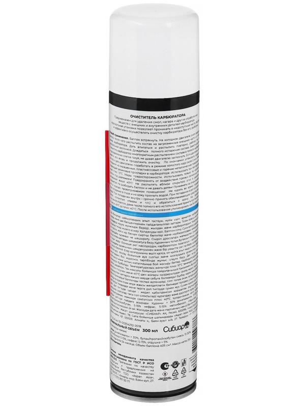 Очиститель карбюратора Авто мастер, 300 мл, аэрозоль